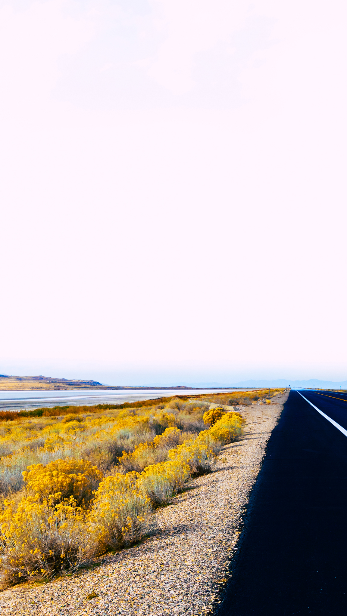 Along the Salt Flats by Alex Tonetti